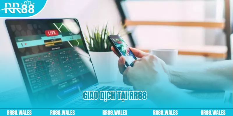 90ok gà chọi c1.com trực tiếp 888