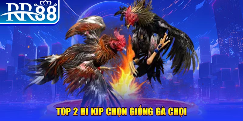 90ok máy thu cước bắn cá