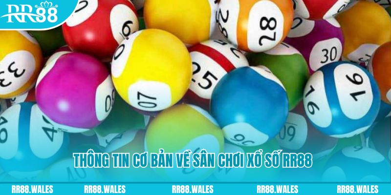 90ok đá gà hôm nay