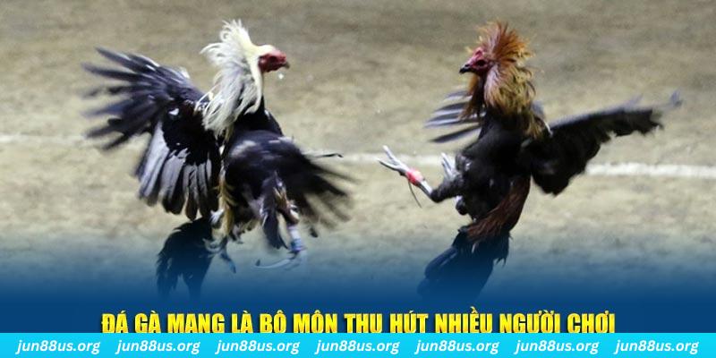 90ok đăng nhập lô đề hàng đầu