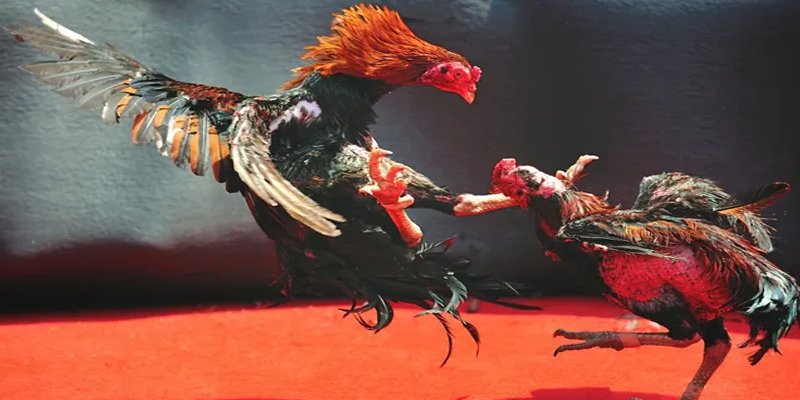 90ok bắn cá h5 chơi ngay