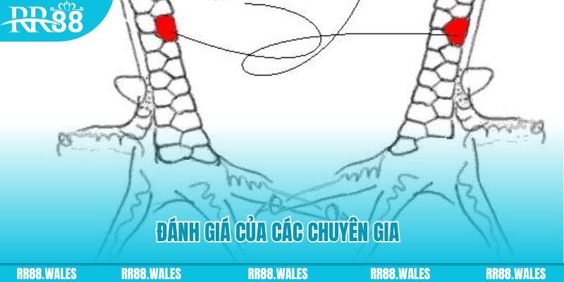 90ok V8 Game Bài 3d