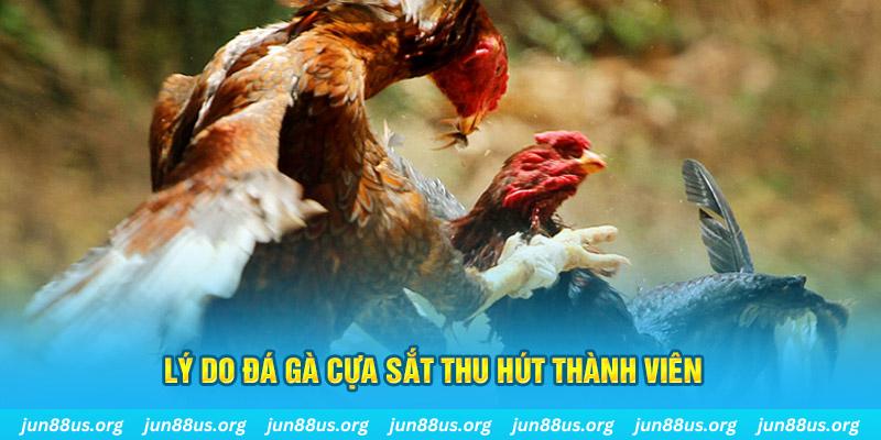 90ok chiếm slot là gì