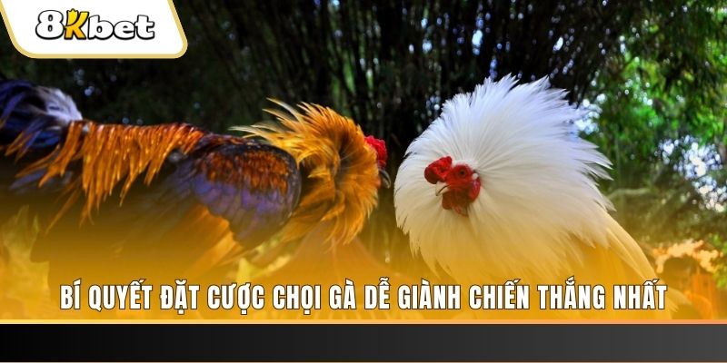 90ok xổ số thứ hai hàng tuần