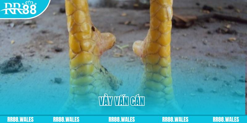 90ok đăng nhập nổ hũ hôm nay