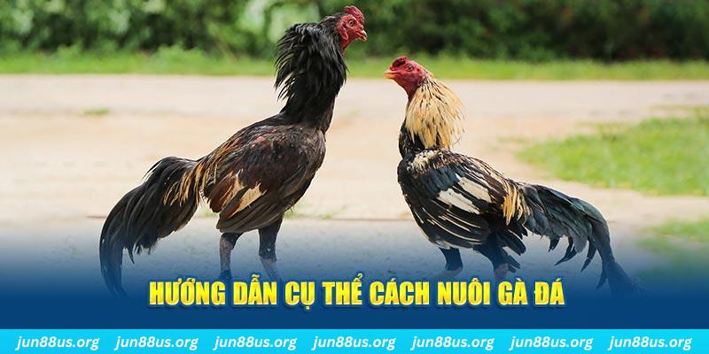 90ok đăng nhập sòng bạc số 1