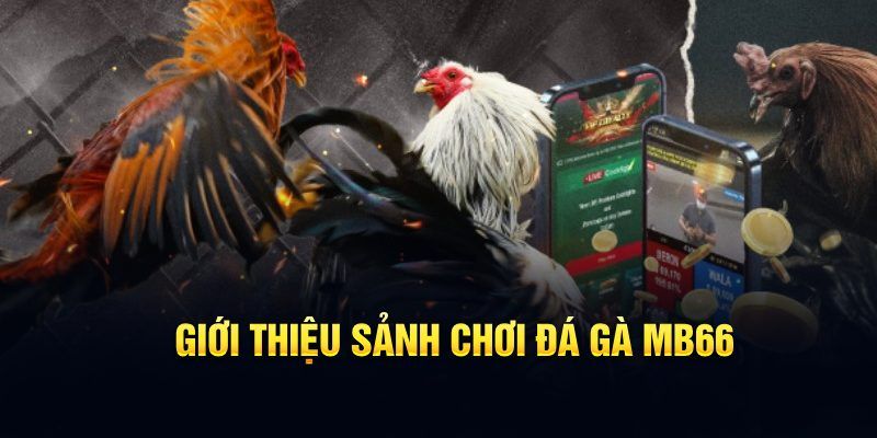 90ok đăng nhập poker hôm nay